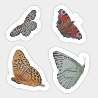 Vintage butterfly/moth Sticker